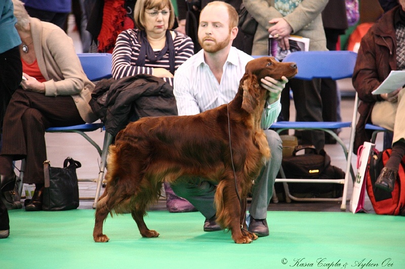 Crufts2011 274.jpg